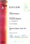Silbernes Diplom, Stufe VIII